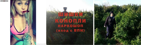 винт Бронницы