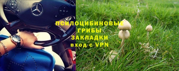 винт Бронницы