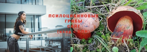 винт Бронницы