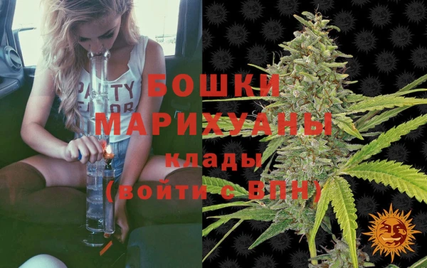 винт Бронницы