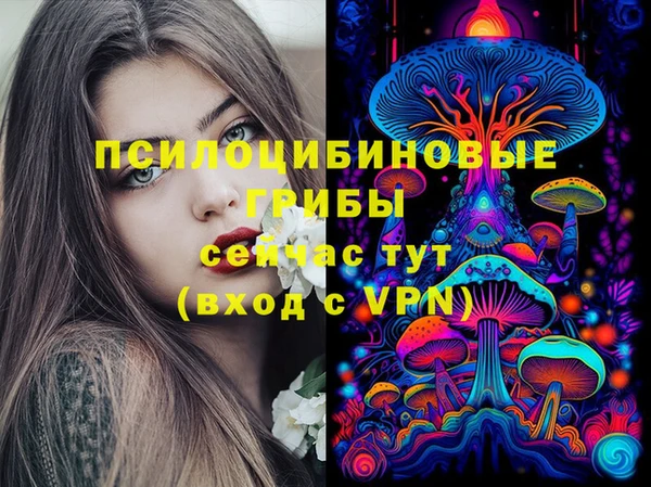 тгк Бугульма